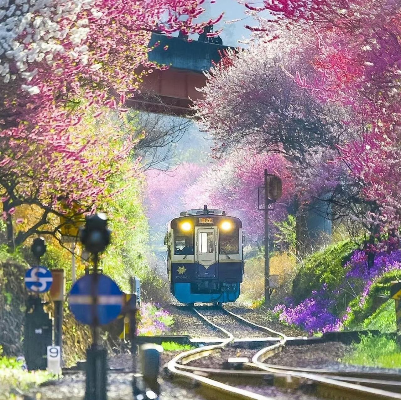 最美的不是目的地，而是一路的风景...