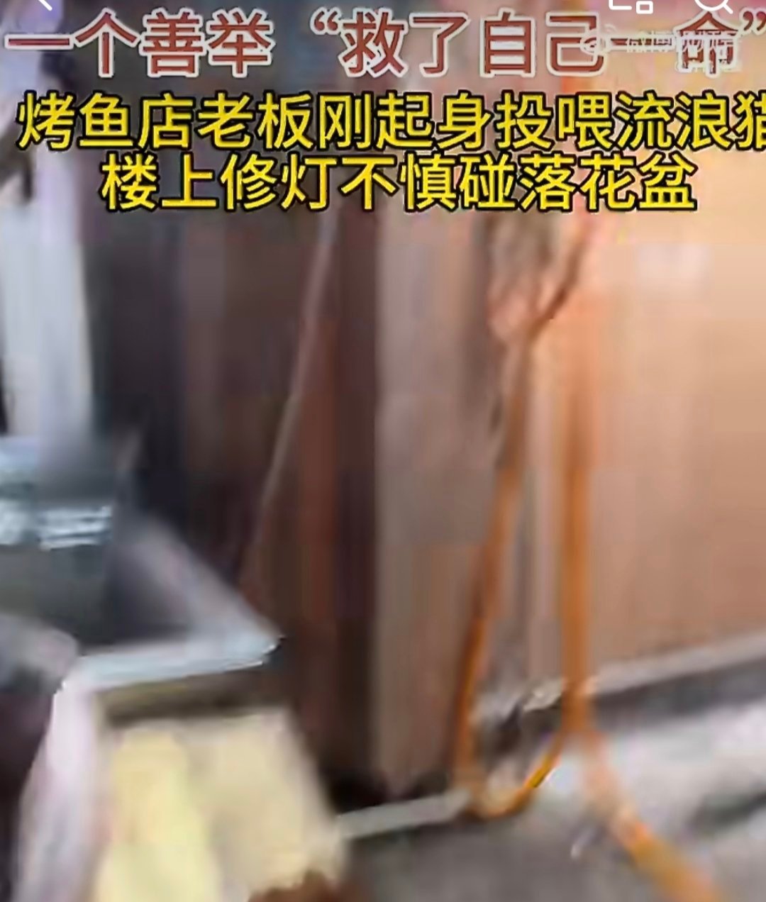 老板一个善举救了自己一命善举从不是无用的付出，而是藏在生活里的福报。老板的一次善