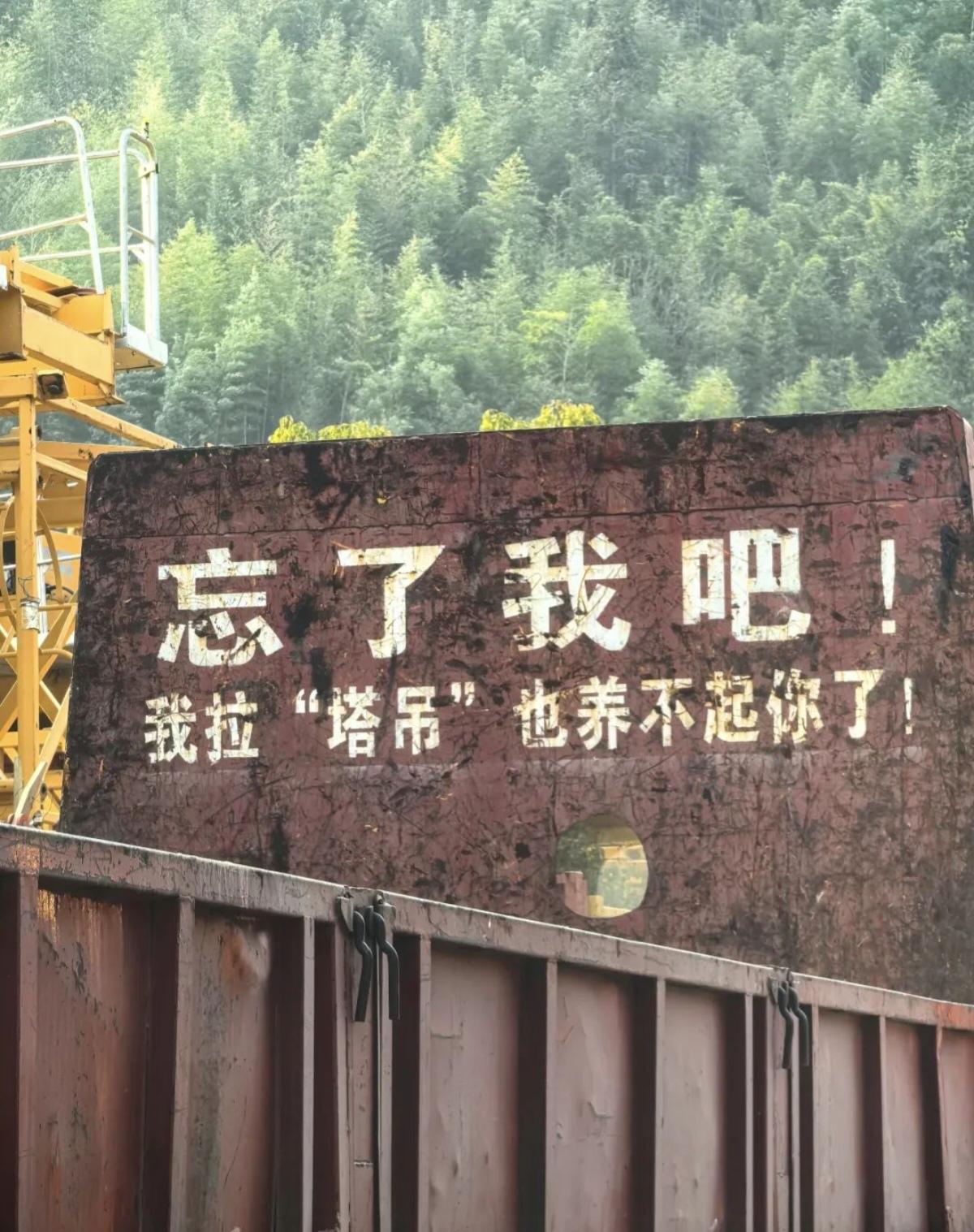 我养你啊 塔吊我养你啊