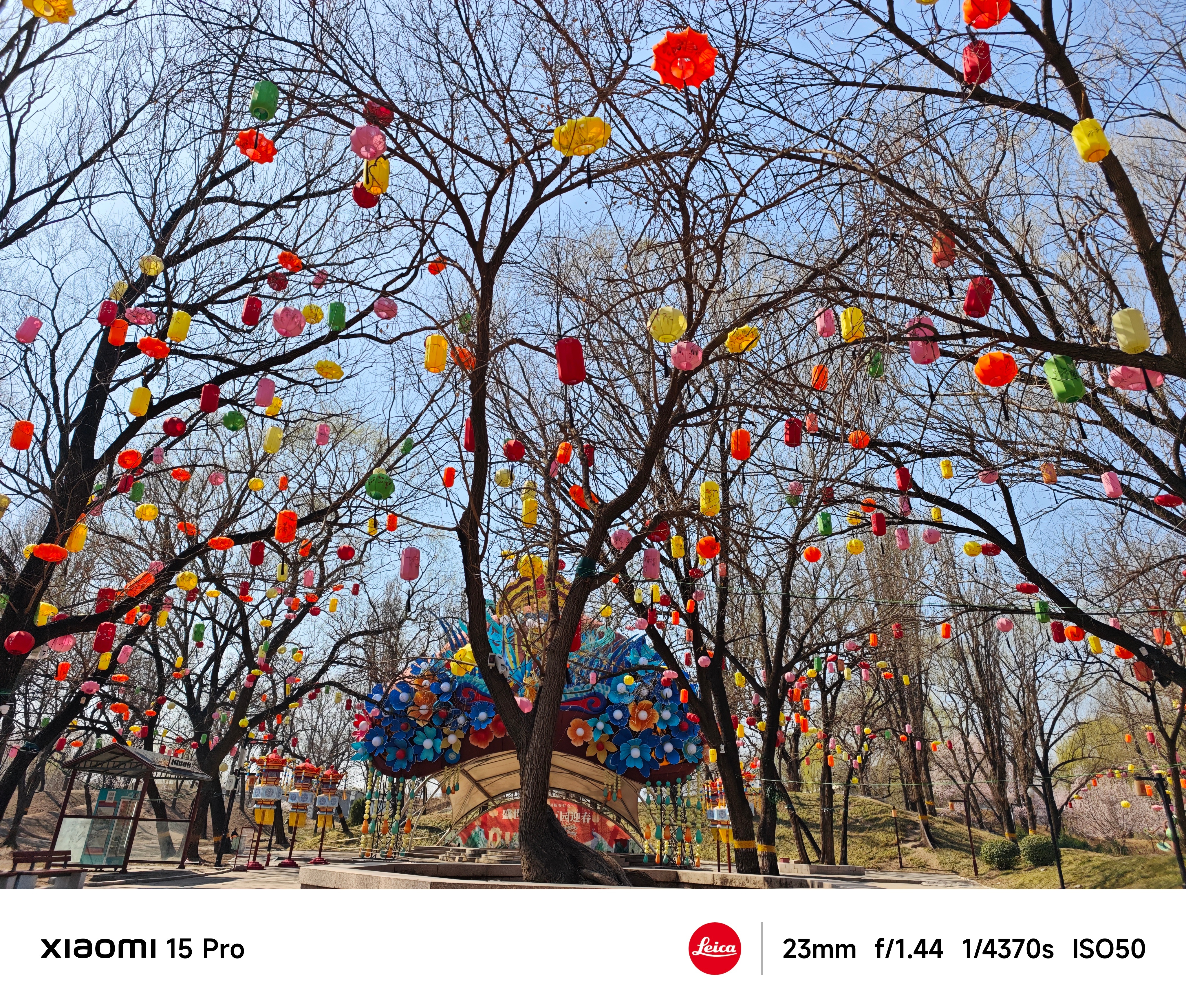 早！ 朋友们！果然还是自家的床睡着很舒服，虽然是出租屋，但还是习惯了，一觉到天亮