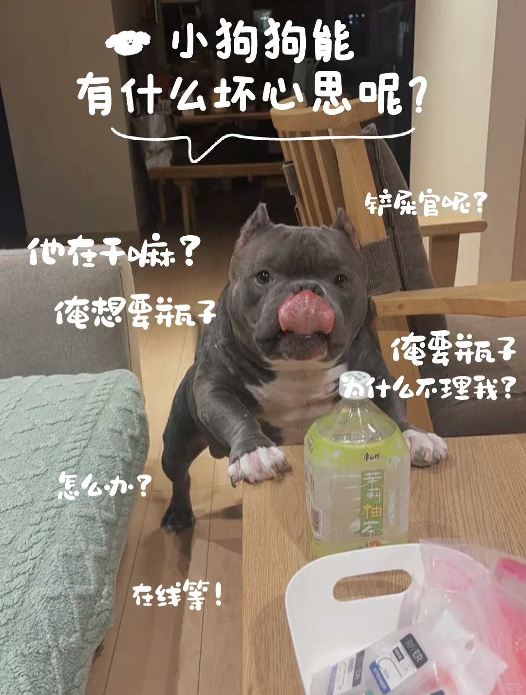 俺就爱玩瓶子