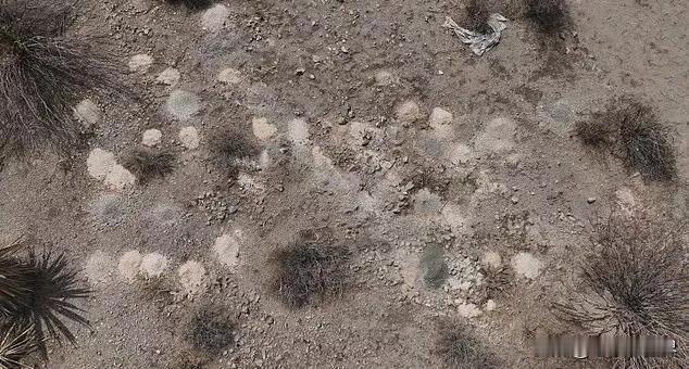 【最新消息：在美国沙漠中发现300多具人类遗骸】
华盛顿时间2025年10月31