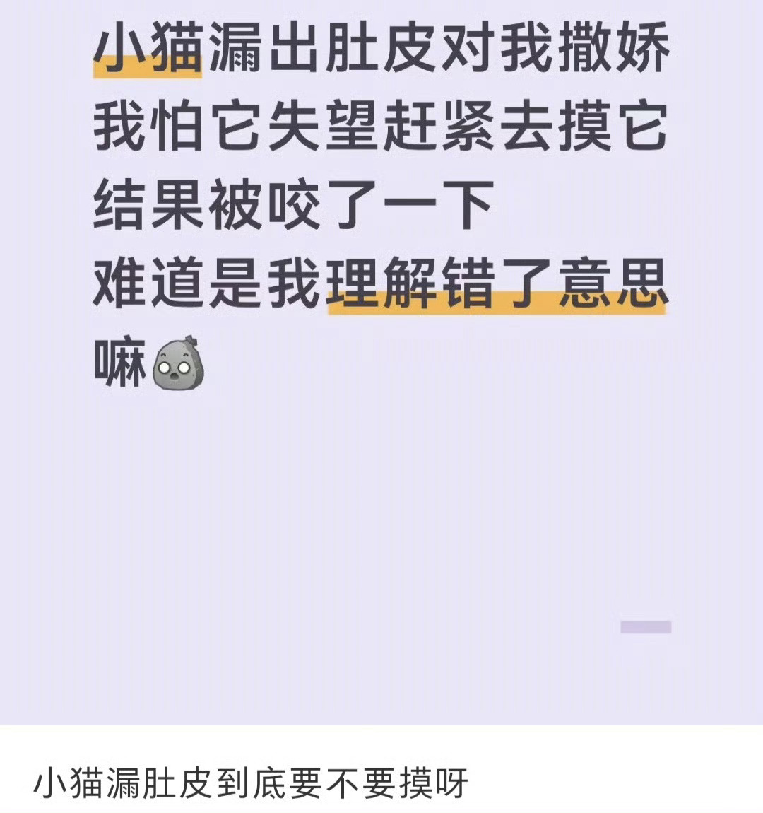 等退休是场巨大的骗局才知道小猫的肚皮不能摸