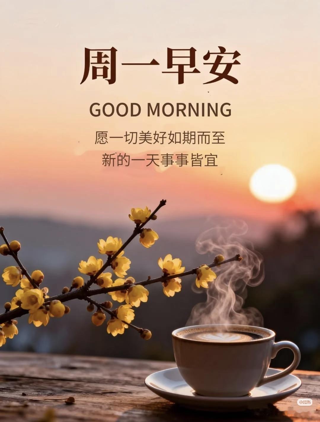 .
清晨的阳光照射下来，满屋子都是清香的味道。 生活因期待而鲜活，脚步因奔赴而轻