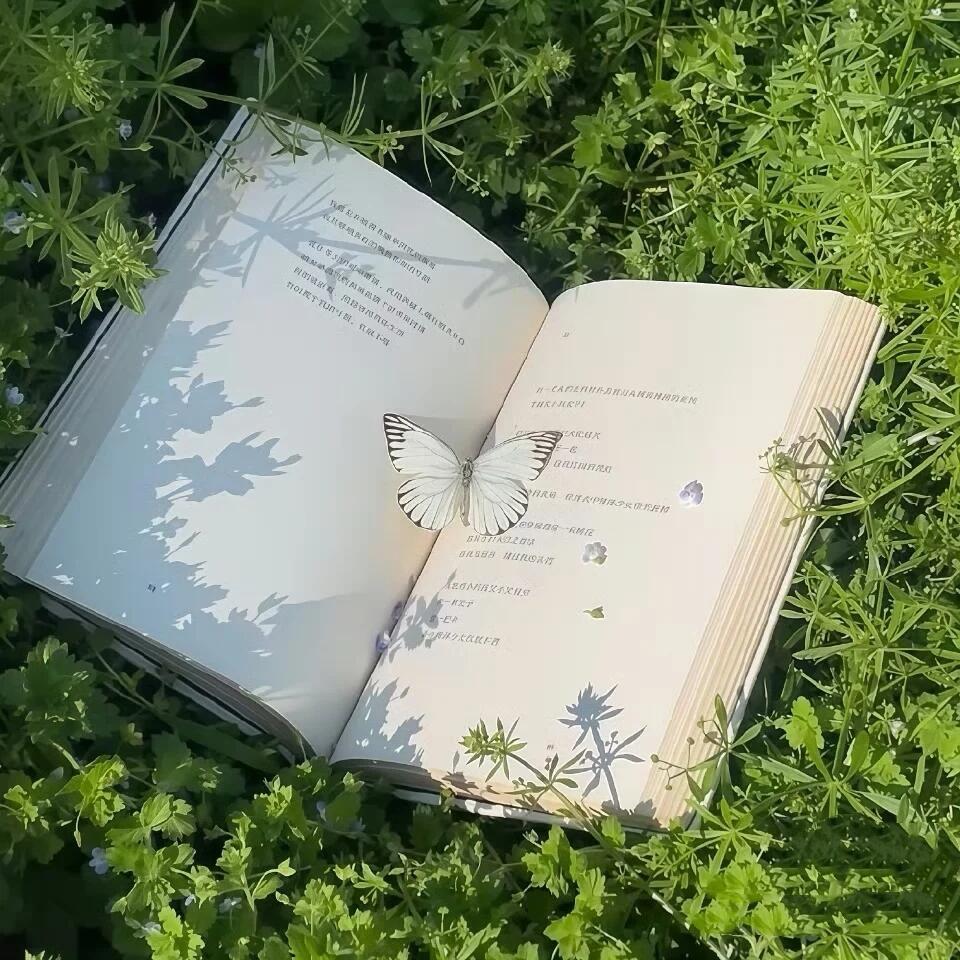 𝓥𝓲𝓿𝓲𝓭 𝓖𝓻𝓮𝓮𝓷 ​​​