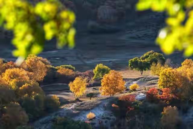 今天就是你“转运时”！一句“否极泰来”，没有啥坎儿过不去
真是太鼓舞人心的话了！