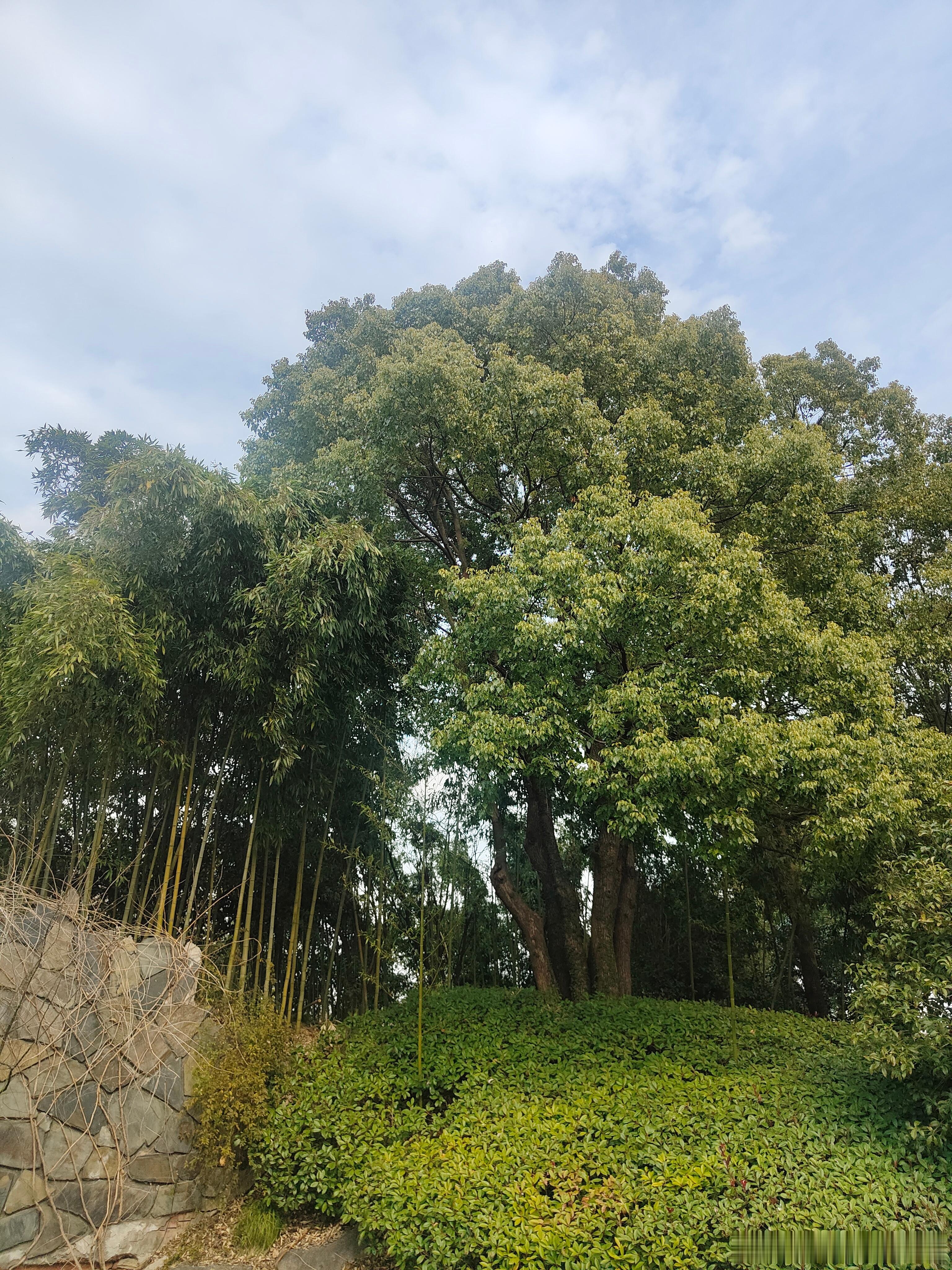 每日一善 在一切变好之前，我们总要经历一些不开心的日子，这段日子也许很长，也许只