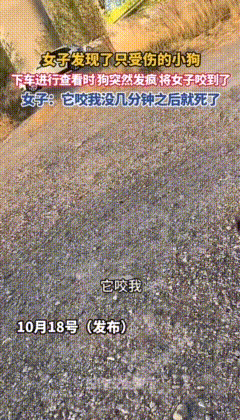 天津，一女子开车发现了一只受伤的狗，下车查看时，狗突然发疯咬伤了女子，狗咬人后没