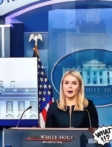 美国被中国再度拒绝了，美国官员很沮丧
 
为啥呢？因为他们发现，中国不想在芯片上