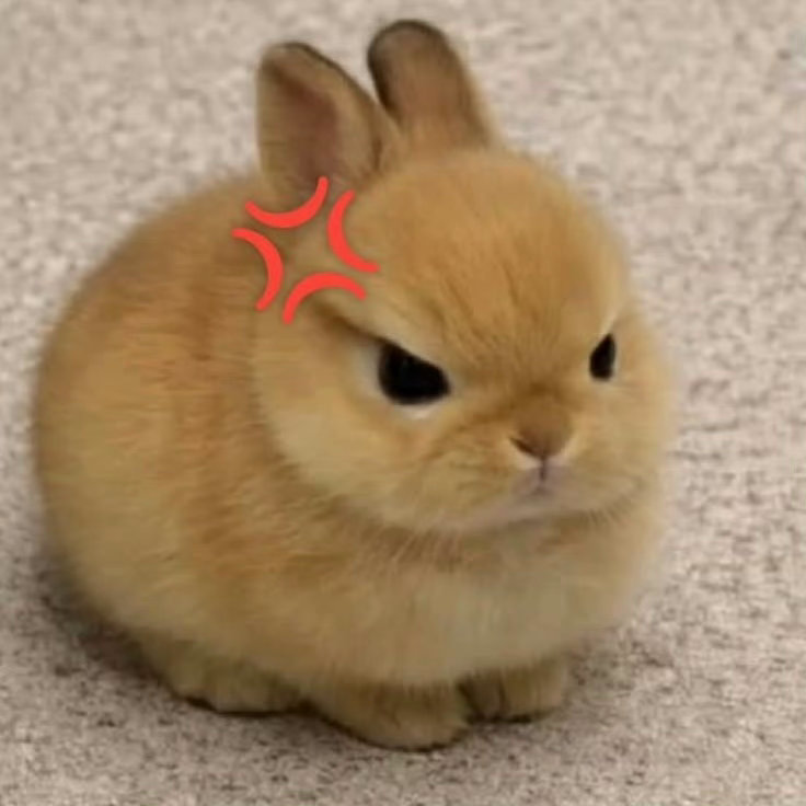 💢 
