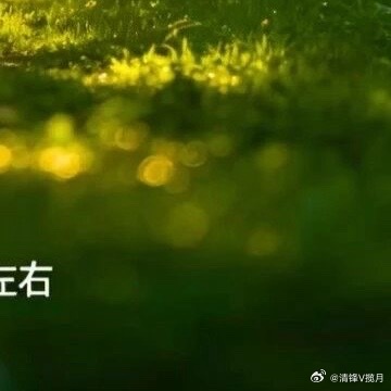 岁月无痕👣 父爱有迹🔻父亲节只是❻月中的一天但爸爸的爱✌️却是岁岁年年𝙼?