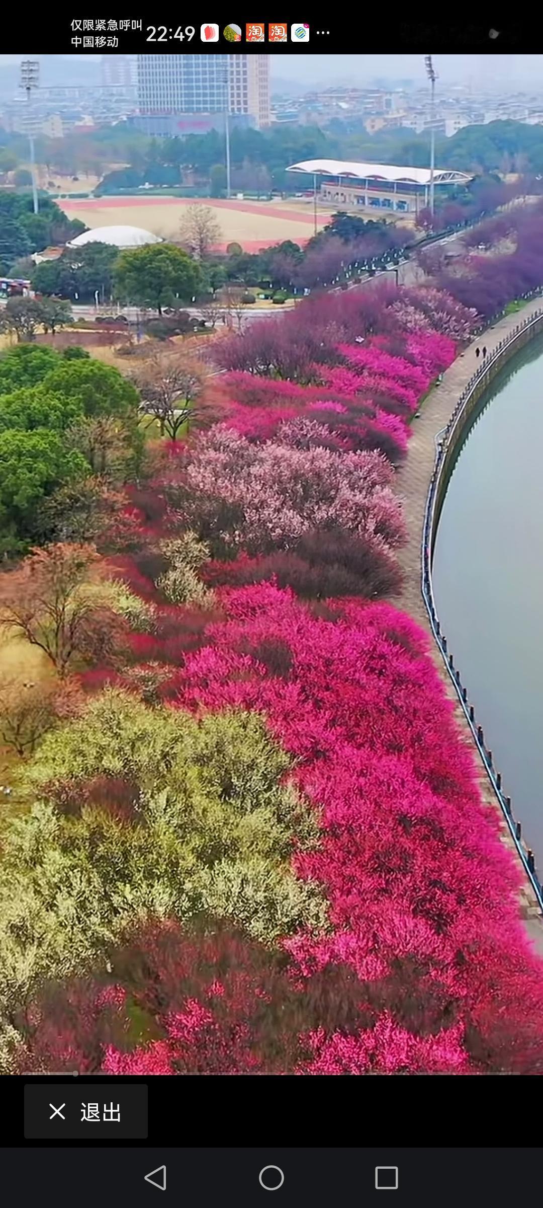 义乌的春天快来了吗？以前刚来义乌的时候冬天可冷了，现在这几年过年的时候感觉快跟春