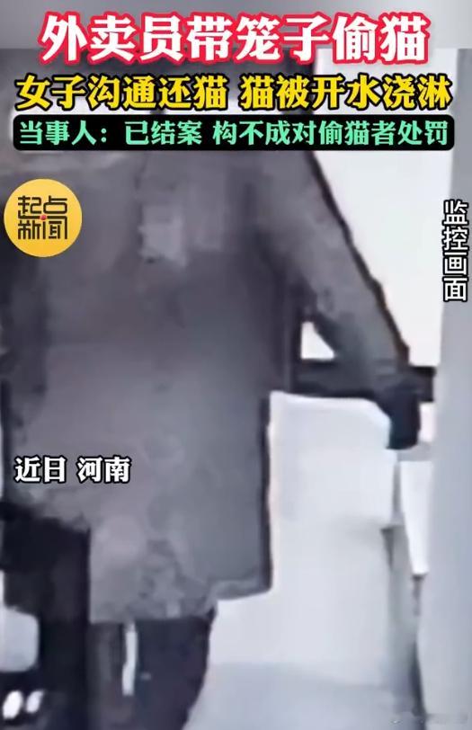 女子宠物猫被外卖员偷走遭开水浇 可怜的小猫 没有人性啊  猫有什么错 