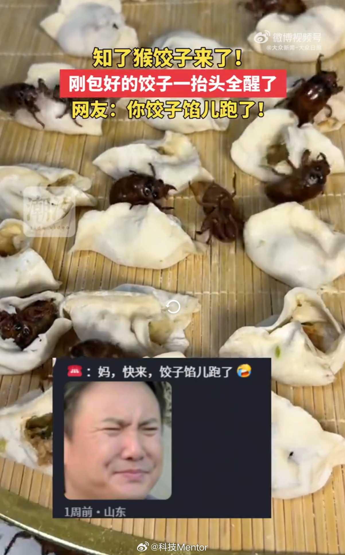 包知了猴饺子一转眼馅跑了山东人的夏日限定狠活果然从不让人失望！别人包饺子是肉烂在