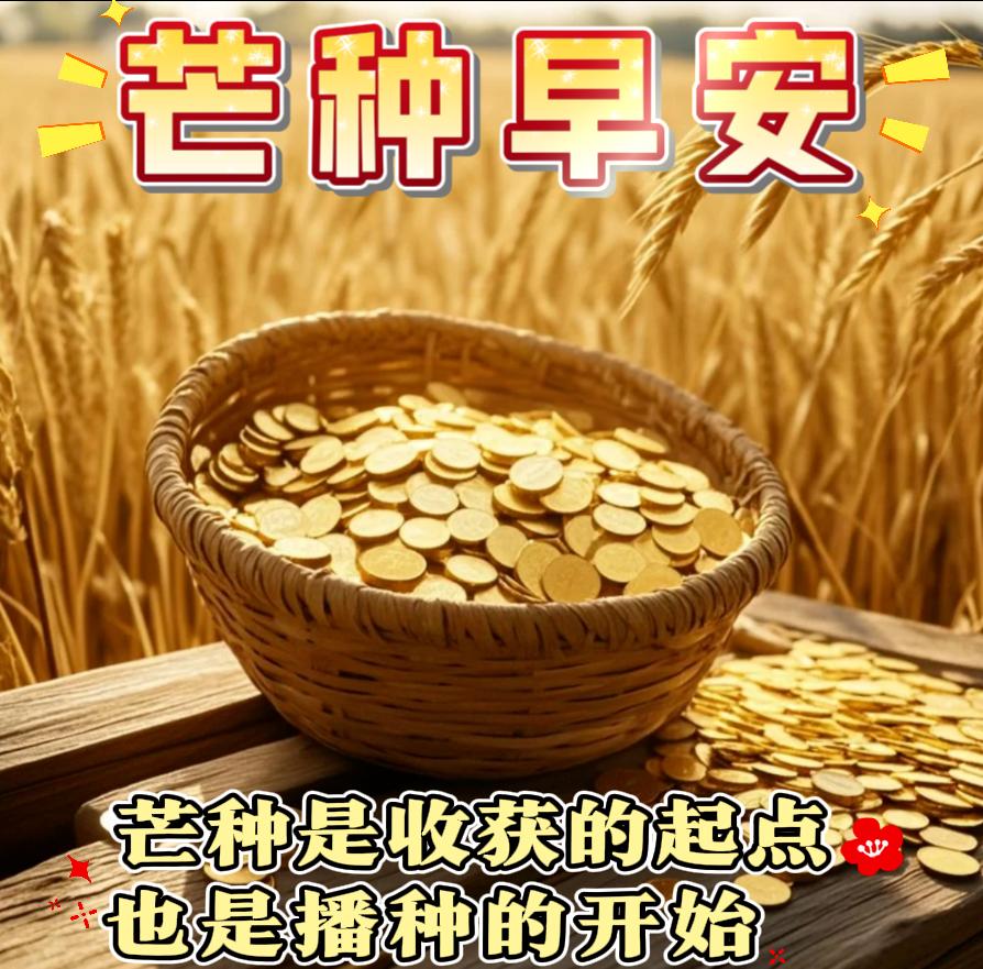 风吹麦浪，一年过半，接下来的日子，别让自己太闲，，好好努力，静待收获，保重身体，
