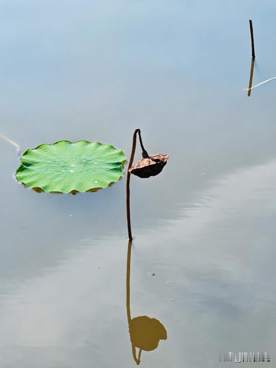 天天下雨，除了排查一下地质灾害隐患，基本上就呆在村部了，昨天看天气预报说今天阴天