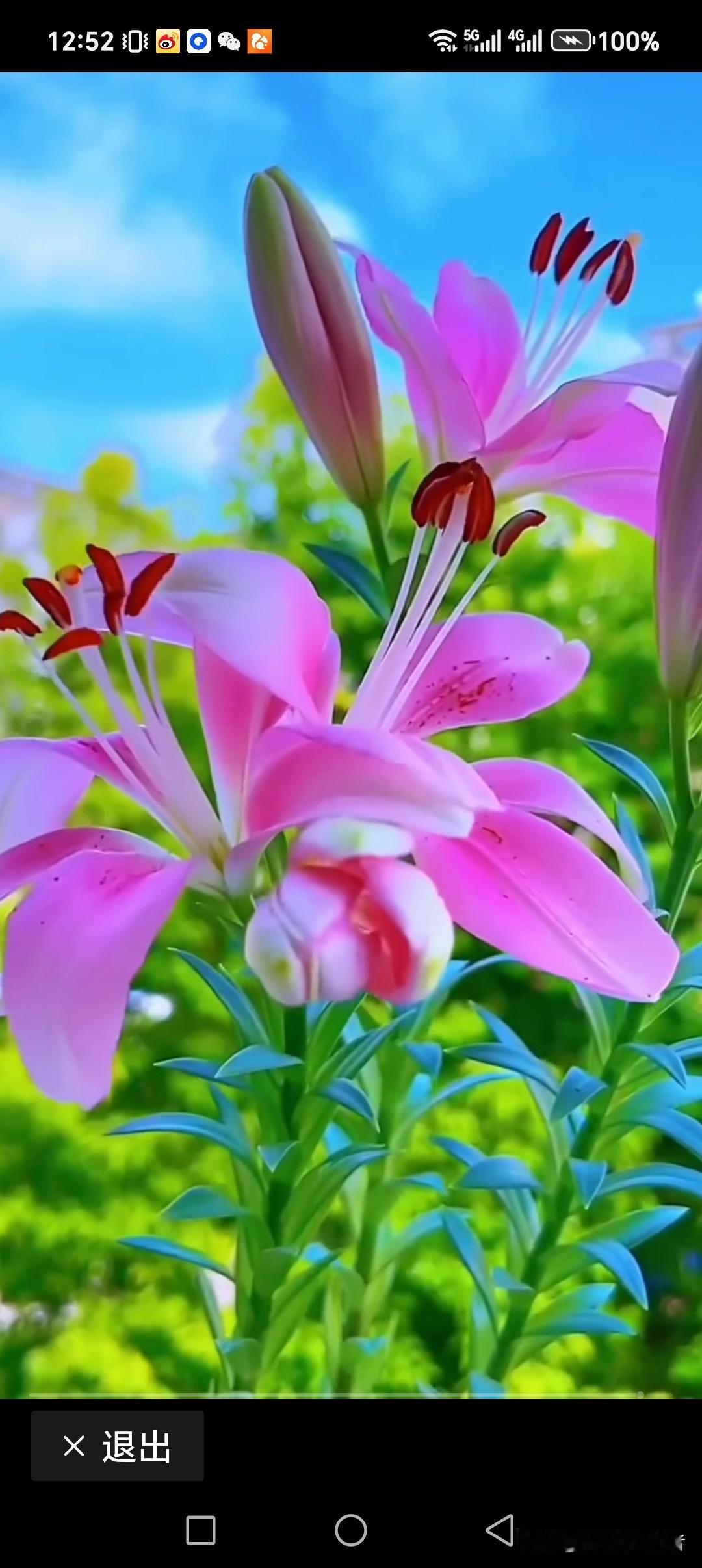 风调雨顺对仗什么最好?