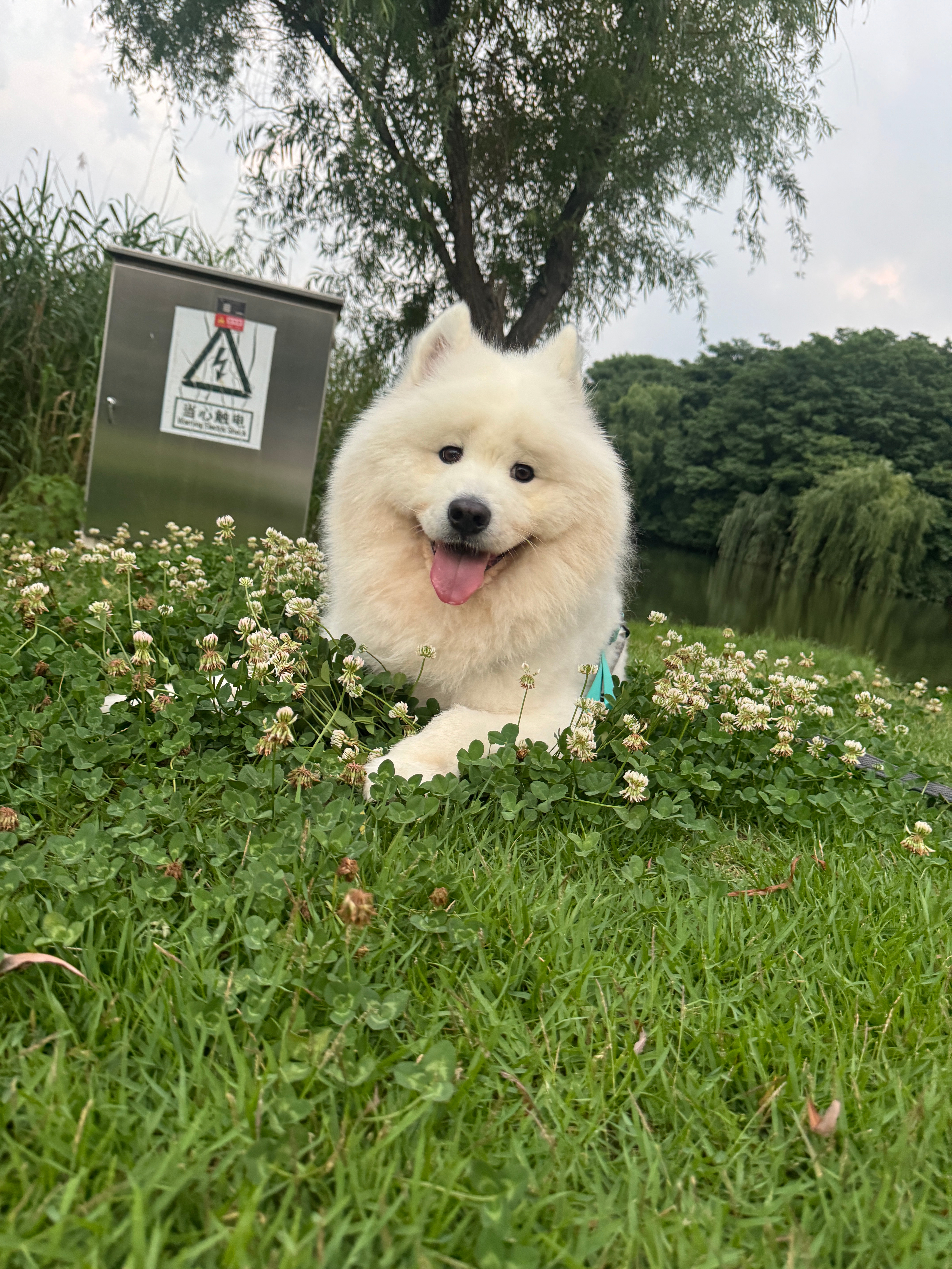 出来也只不过是换个地方躺