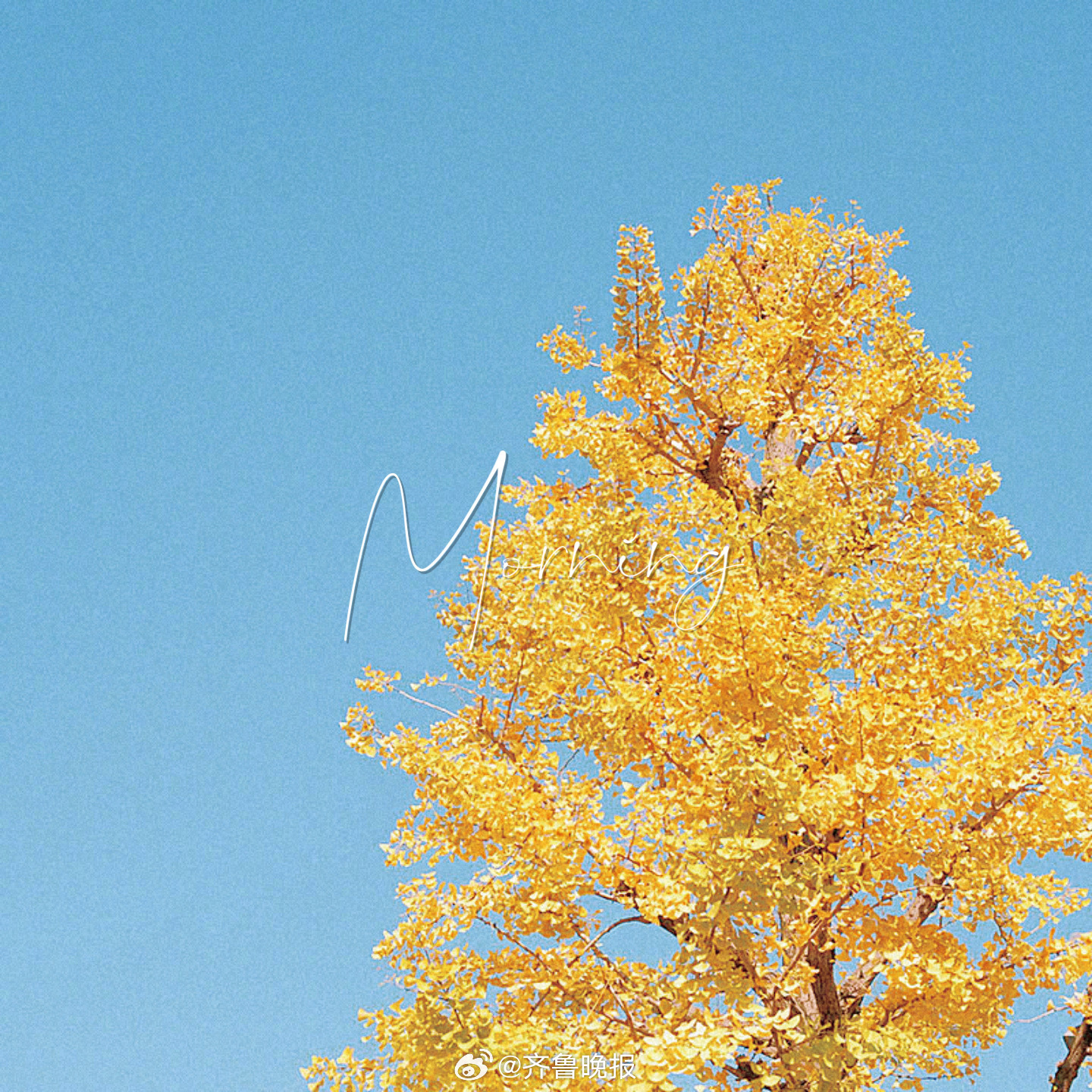 天气渐冷 日子也要暖暖地过