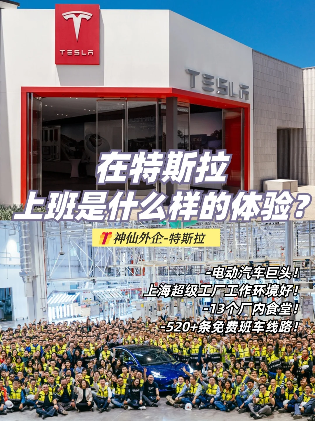 电动汽车巨头，在特斯拉上班原来这么幸福！