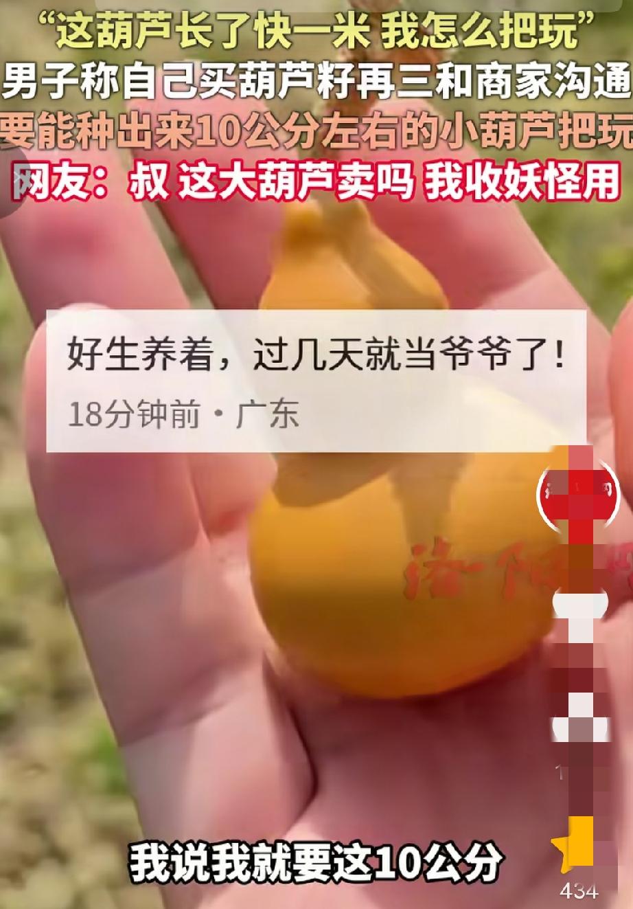 “笑不活了！”河南一男子喜欢葫芦手把件，就从网上买了葫芦籽，当时还特意叮嘱商家要
