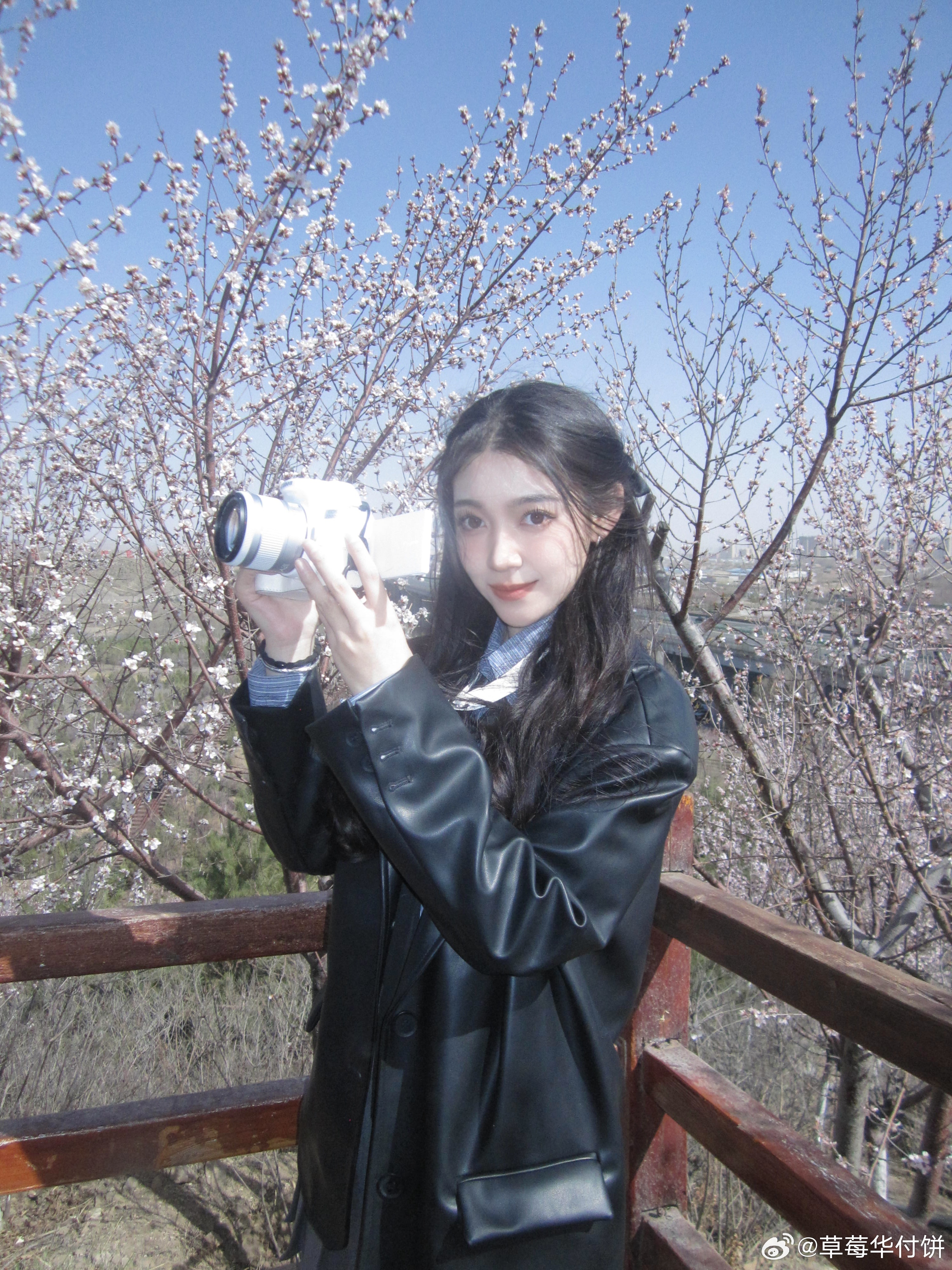 分享图片  ​​​