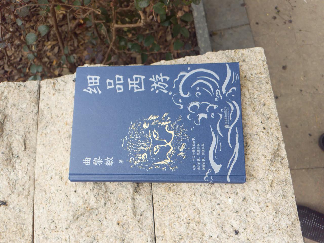 人到中年，读懂西游才懂人生
 
人到中年，历经生活的起伏，再翻开曲黎敏的《细品西