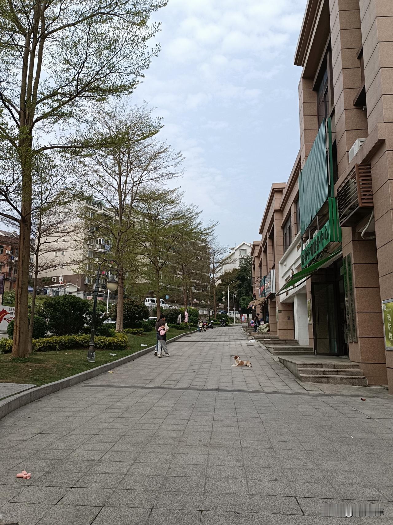 后羿射日的语义误解
常见误读：后羿射落 “九日”，仅存一日。
原意辨析：
古文中