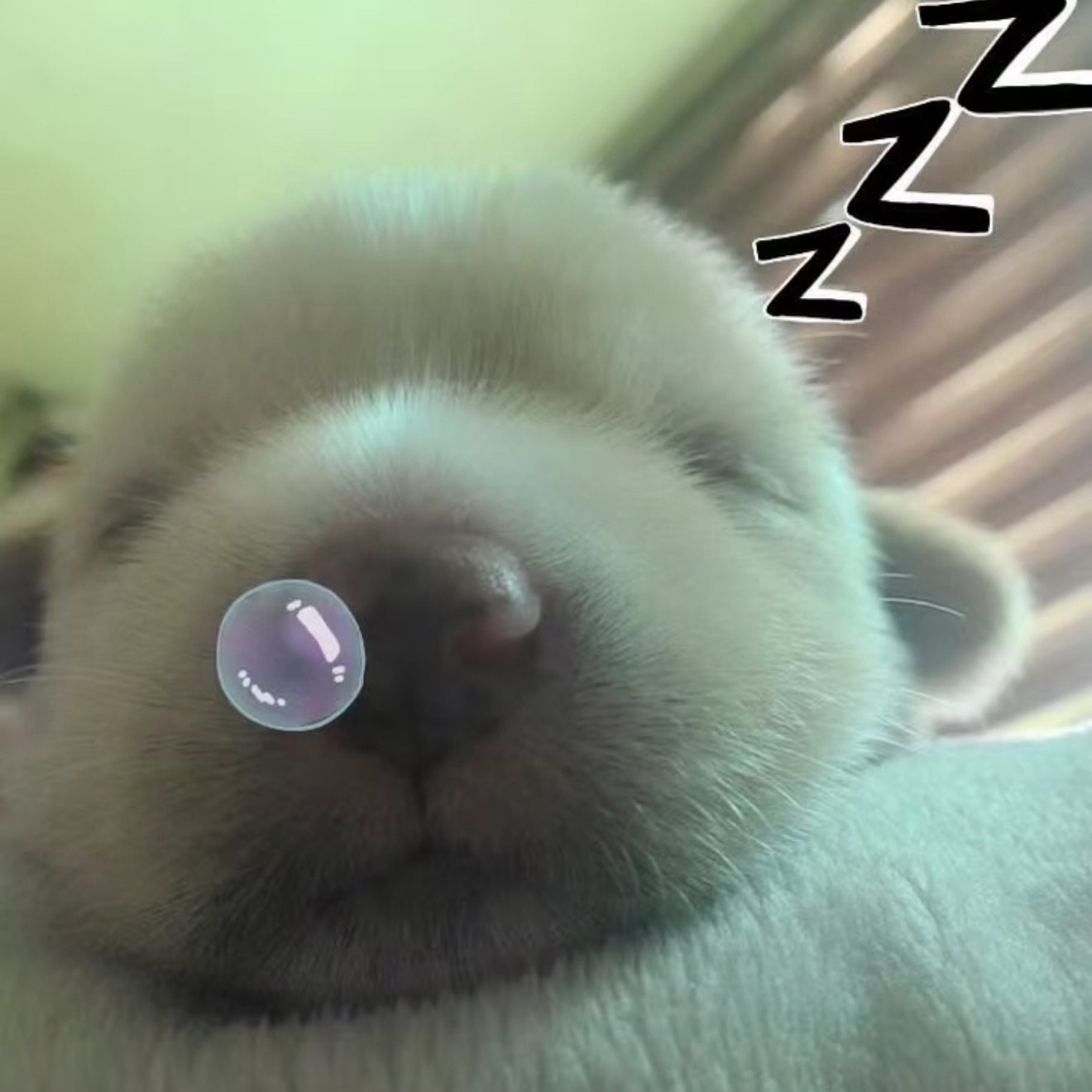 我哥哥睡觉就这样： 