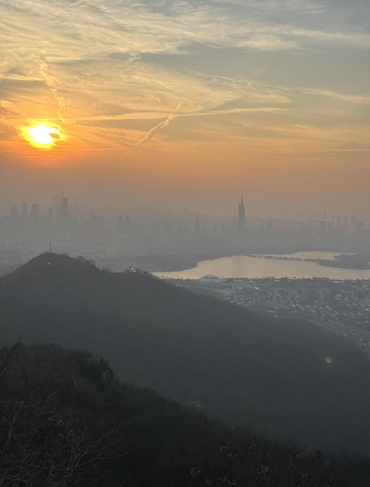 紫金山冬日奇遇：我触摸到了大树的脉搏 🌳
📍南京 紫金山山顶公园
📍 最佳