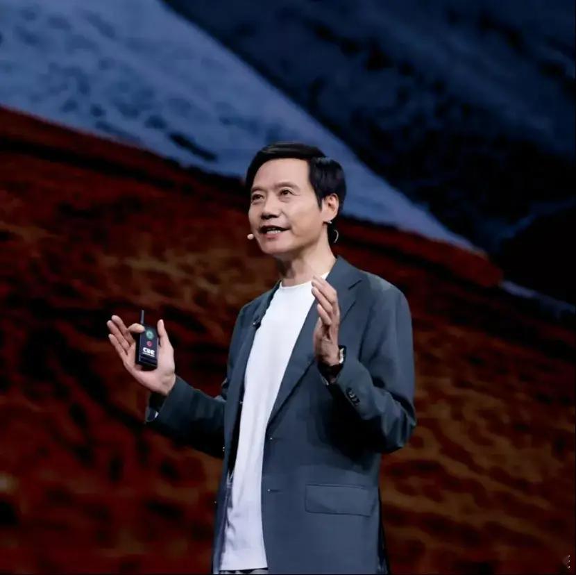 今天深度聊聊小米吧！前几天主要是看到了“去雷化”这个词，我也是突然想到了这个问题