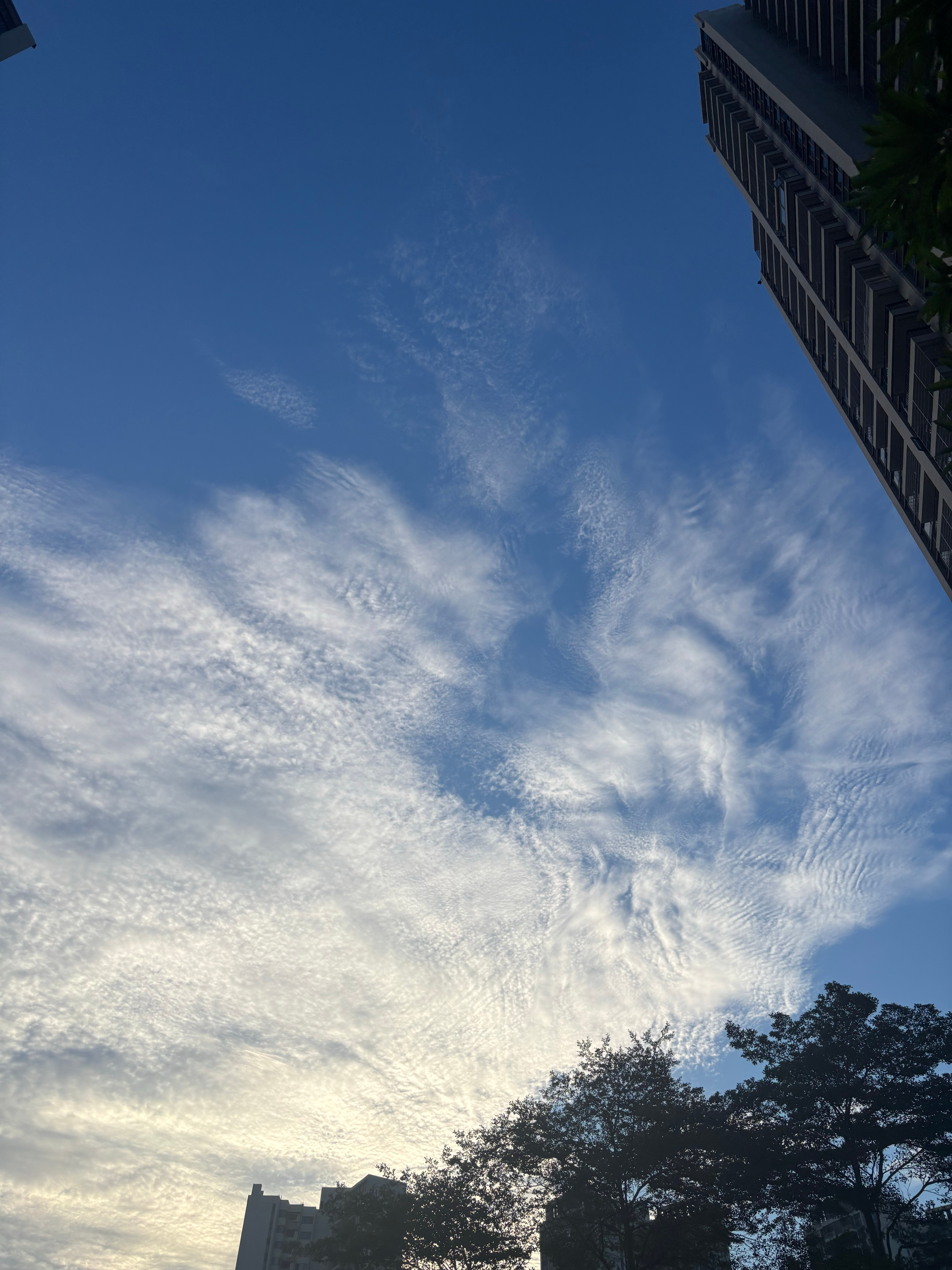 蓝天，白云。 ​​​