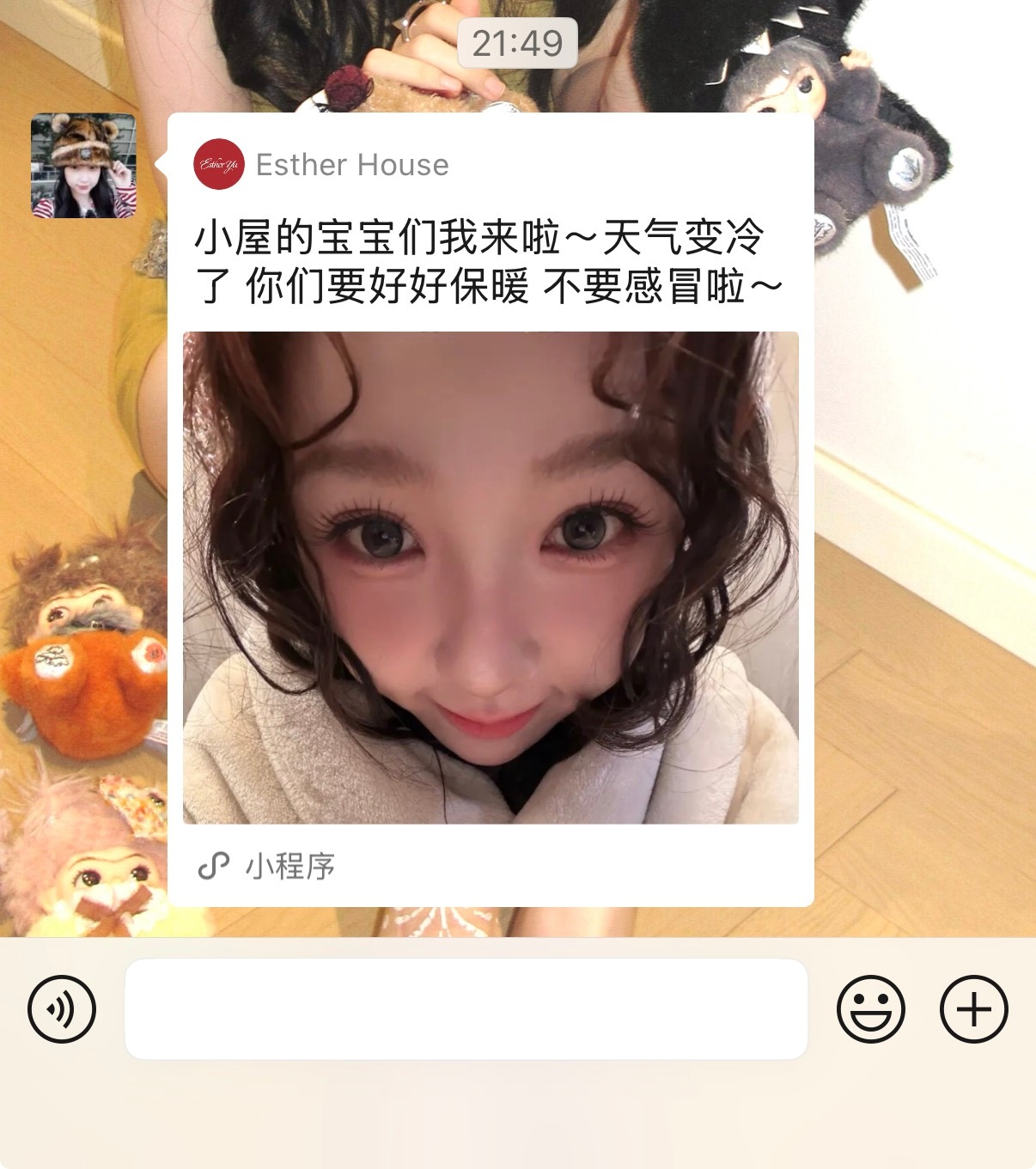 以后鱼丝做小屋转发任务的时候，每天都有一只小猪萌萌的看着你🐽 ​​​
