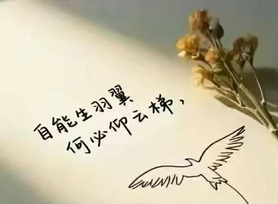 与其“慕强”不如“慕己”展翅高飞的翅膀一定不是别人送的你说呢……  