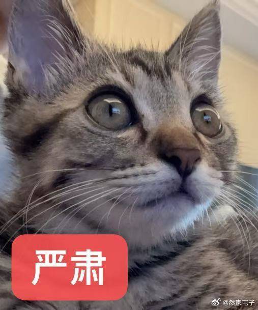 7.6严肃🐏铁dd我的女孩你别肘！我的铁粉你别肘！ 