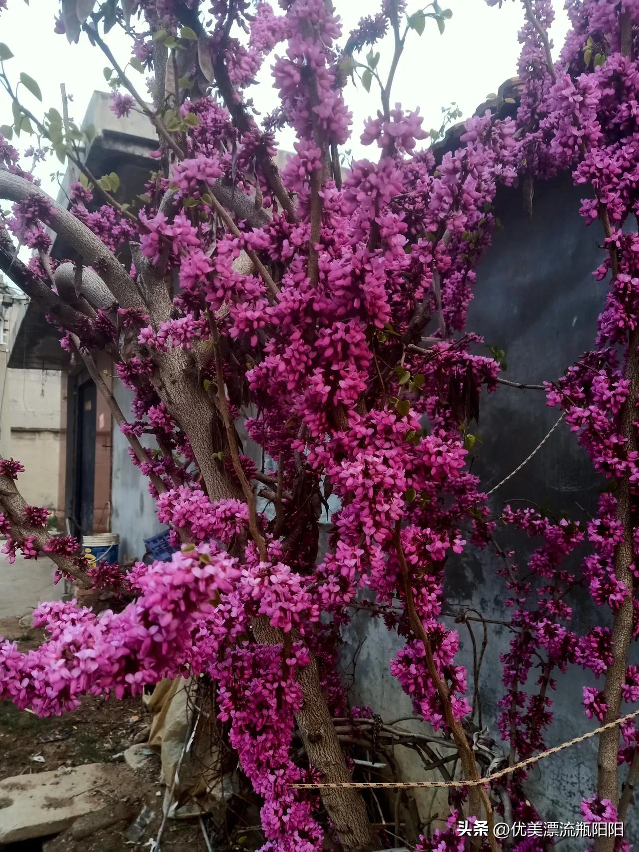 晒图笔记大赛太美了哈！