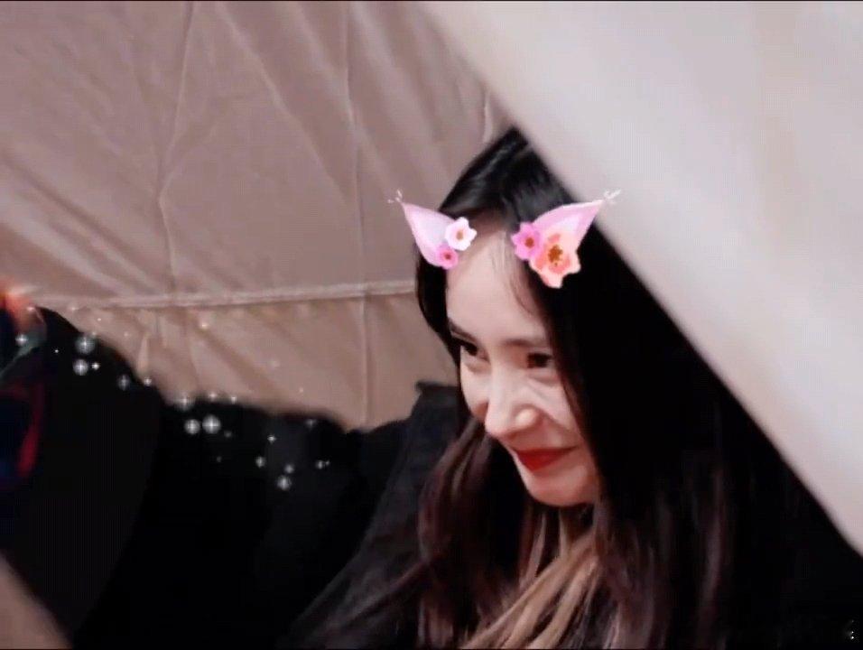 杨幂丁程鑫花少4就是狐狸姐弟了算不算是最早的狐狸姐弟 ​​​