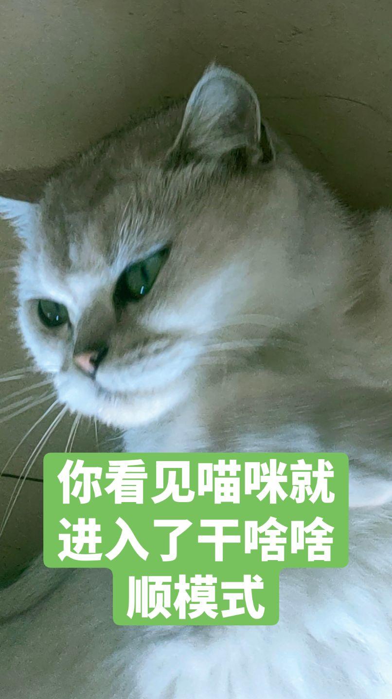 @DOU+上热门 @抖音小助手