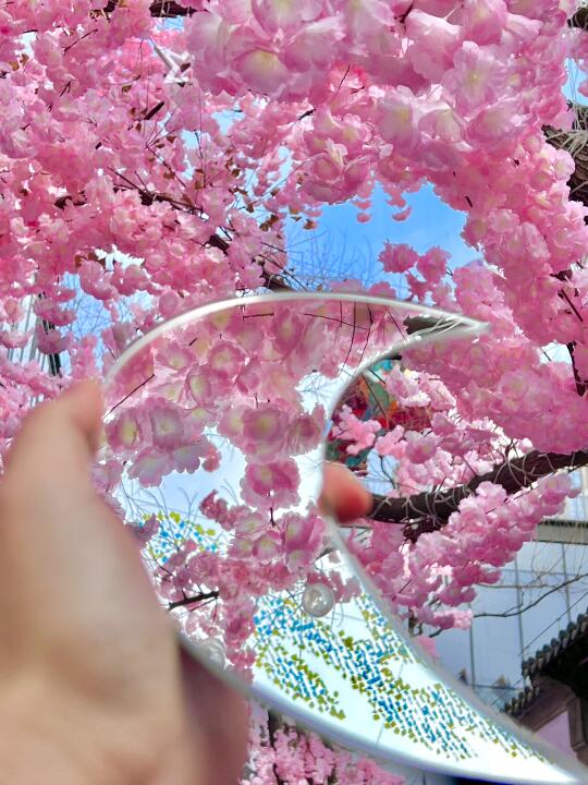 live图🌸感受一下南京樱花雨有多浪漫…😭