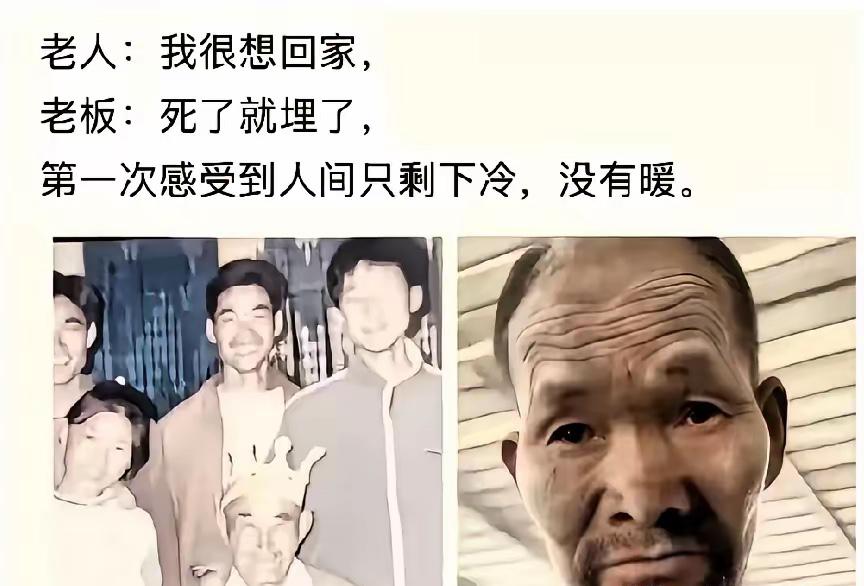 谁也没想到，全网为之落泪的二十年终团圆，转头就迎来了最扎心的结局。

前段时间，