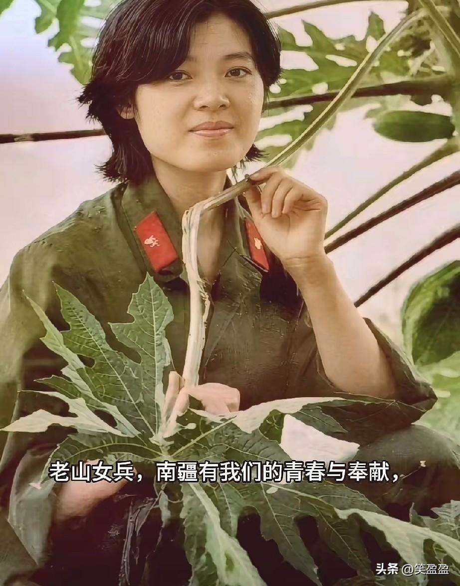 老山女兵，南疆有你们的青春与奉献，南疆的红土记得她们的足迹，老山的木棉记得她们的