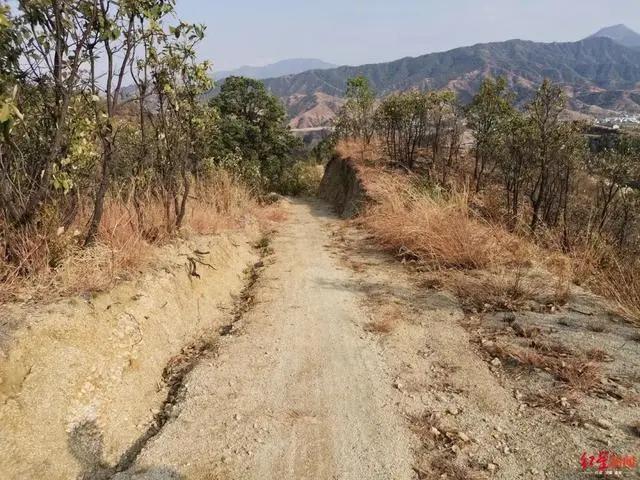 太悲哀！四川攀枝花一男子为了农产品能卖出去，自己攒钱7万帮村里修路，谁料，刚完工