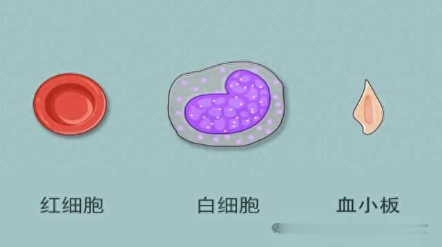 病理报告上这8个指标，占得越多，癌症预后越好！希望你全占