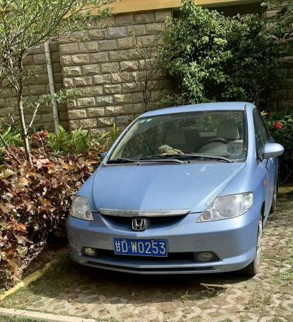 50万内的平民超跑限量3000台的新飞度未因时光流转而将Fit/Jazz基因褪色