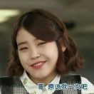 乘鹤热看汽车