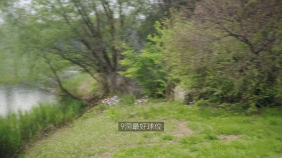 细节见真章!尊界S800用场景实力诠释豪华
尊界S800的产品力全部藏在真实使用