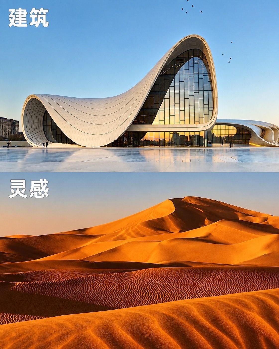 自然界藏着建筑答案 ​​​