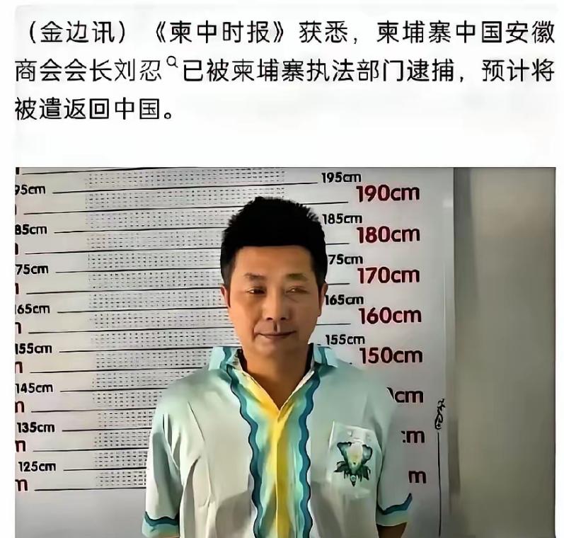 最可怕的内鬼终于浮出水面！柬埔寨电诈园区的幕后大佬，竟然是我们信任的商会会长。把