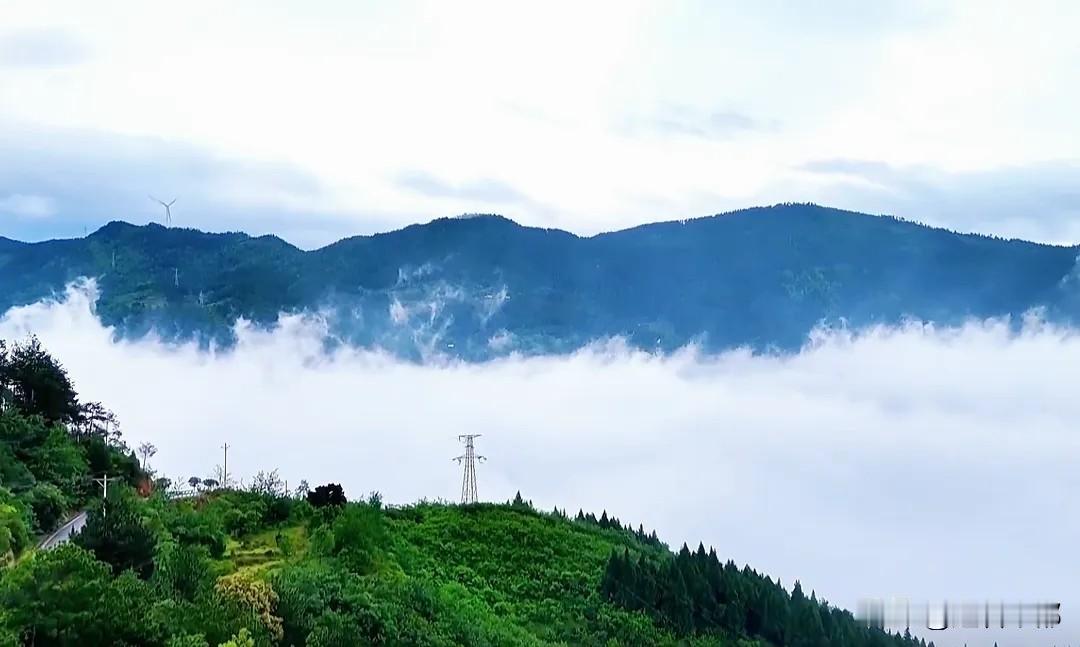 丰都双路莲花山｜藏在山野里的夏日云海仙境
谁能想到夏日最美风景，藏在丰都双路镇莲