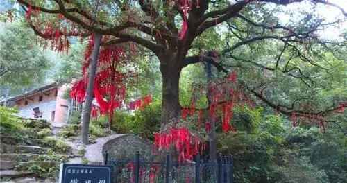 一男子独自登山失联3天！警方发通报寻人！景区发声......